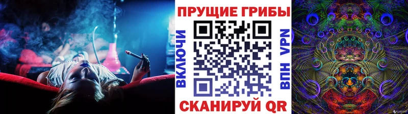 Псилоцибиновые грибы Cubensis  Павловск 