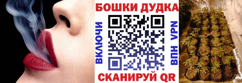 Бошки марихуана AK-47  MEGA ONION  Павловск 